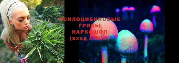 гашик Армянск