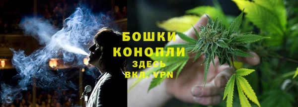PSILOCYBIN Арсеньев