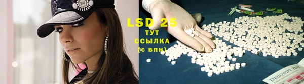 PSILOCYBIN Арсеньев