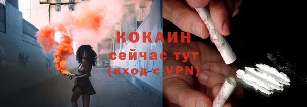 индика Баксан
